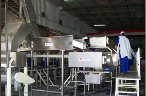 MANGO PULP PROCESSING LINE